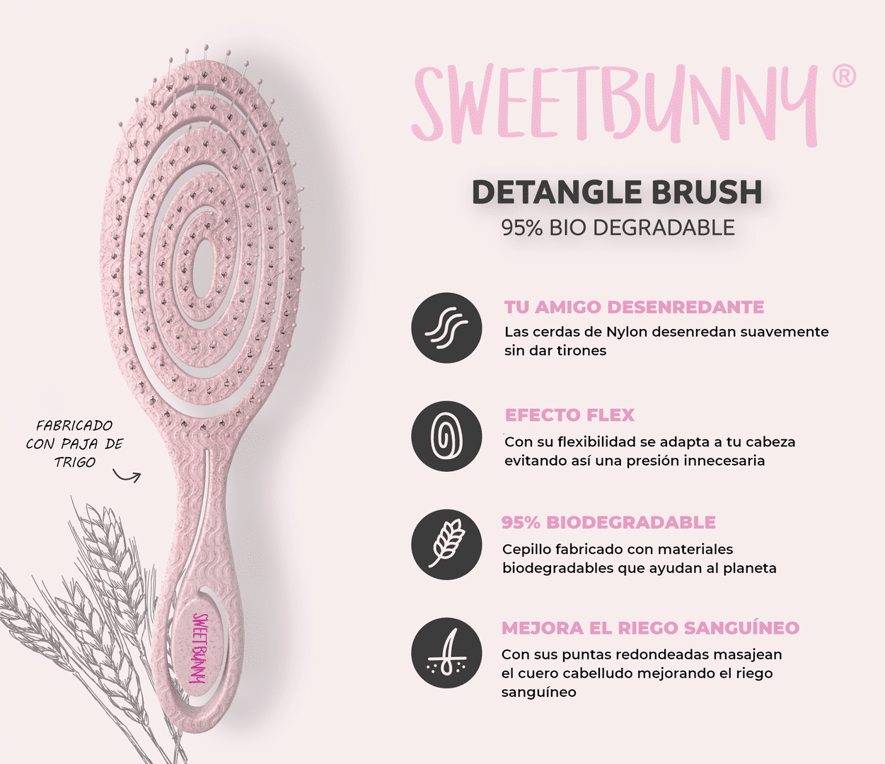Display 12u Eco Detangle Brush SWEETBUNNY - Imagen 2
