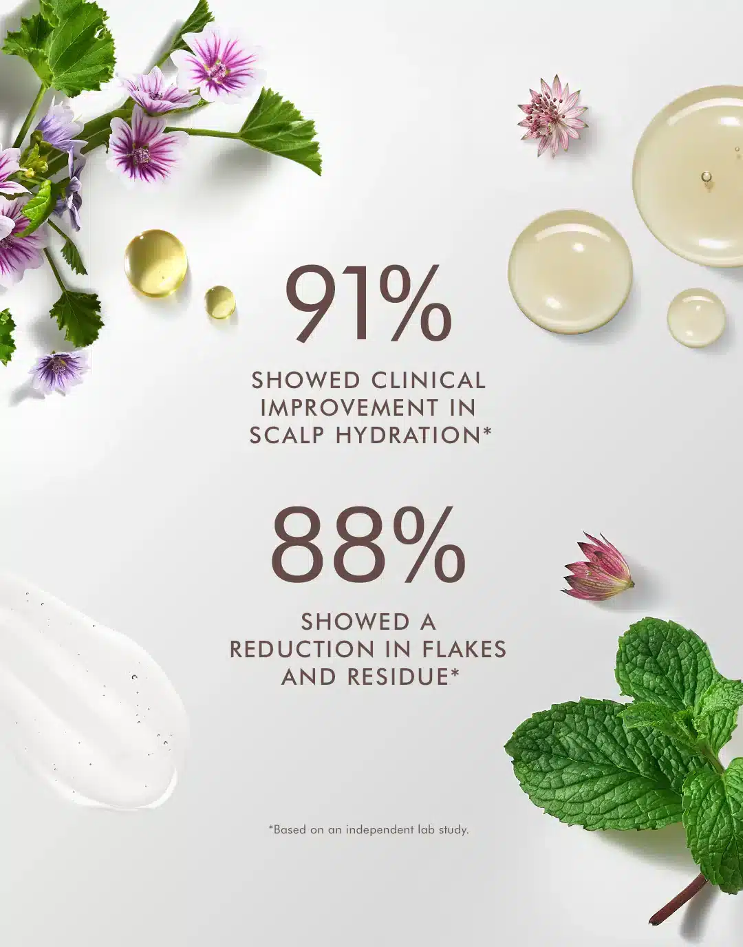 Scalp Balancing Shampoo 250ml MOROCCANOIL - Imagen 2